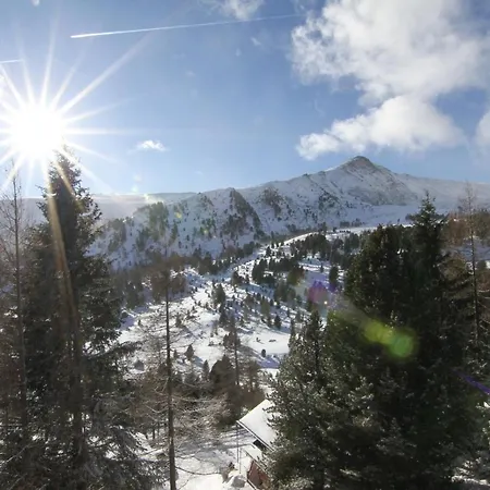 Heidi Falkert Heidialm - Almsommer